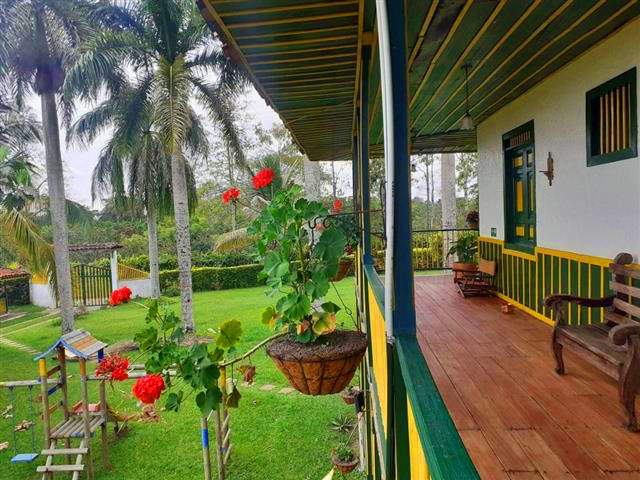 finca-hotel-el-palmar-(17) - Alquiler de Fincas en el Quindio, Hoteles en el Eje Cafetero vista al jardin Reservas Hoteleras