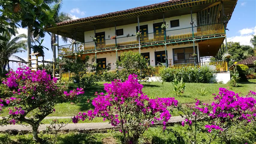 finca-hotel-el-palmar-(24) - Alquiler de Fincas en el Quindio, Hoteles en el Eje Cafetero finca hotel quindio Reservas Hoteleras